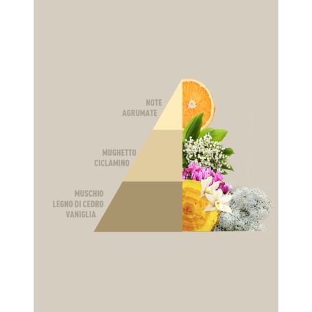 Cofanetto 4 fragranze 50ml Imperial Soap, Vaniglia e Mirra, Vento d'Oriente, Gold Argan HOROMIA