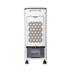 Ventilatore raffrescatore con purificatore Bimar VR25 2