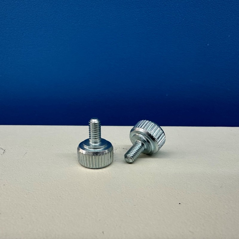 Coppia viti per blocco frontalino grattugia OMRA