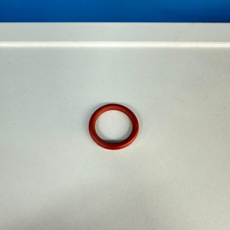 Guarnizione oerre per tappo caldaia Kiss-Ecovip-Dilar ELETTROPIU