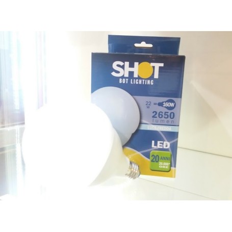 LAMPADINA LED GLOBO LUCE FREDDA 22WATT