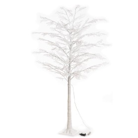 Albero eucalipto 200 LED bianco caldo H180 cm per interno LOLLI 28984 2
