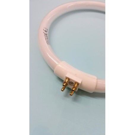 Lampadina neon ricambio per lampada con lente MAG-LAMP3 fluo 12w 6400K G10q Lampadina neon ricambio per lampada con lente MAG-LAMP3 fluo 12w 6400K G10q