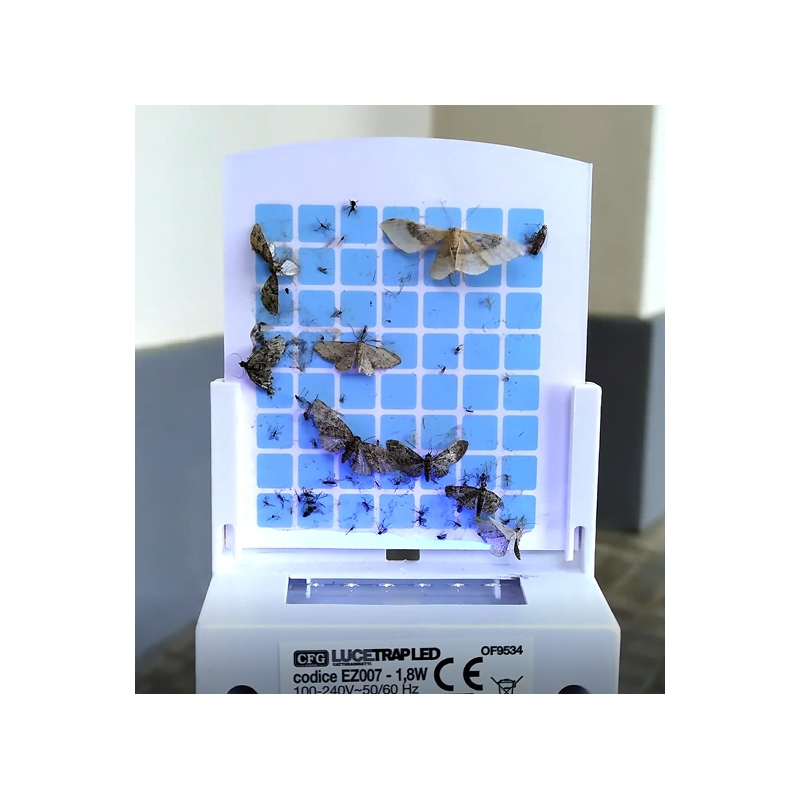 LUCETRAP LED PUNTO LUCE CATTURA ZANZARE DA PRESA PICCOLO CON ADESIVO