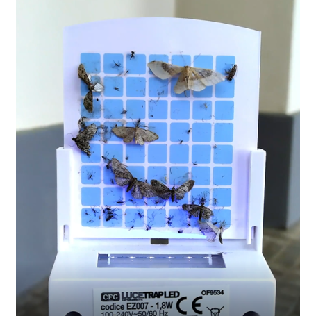 LUCETRAP LED PUNTO LUCE CATTURA ZANZARE DA PRESA PICCOLO CON ADESIVO