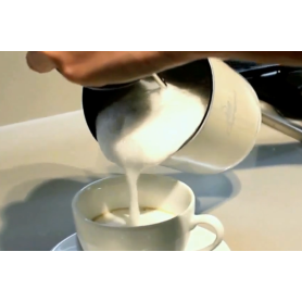 Cappucinatore maker Montalatte manuale Lt0,5 PEDRINI 02CF043 2