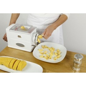 Macchina per pasta torchio manuale con 5 trafile REGINA MARCATO 2